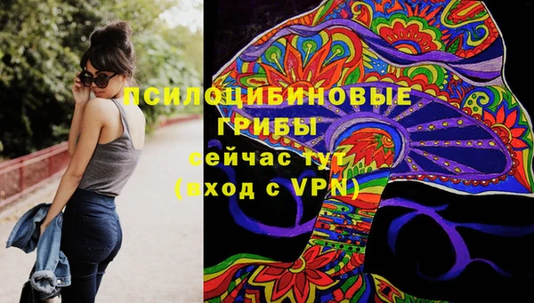 МДМА Алексеевка