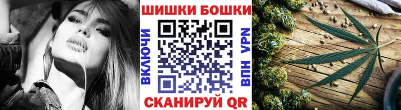 Каннабис OG Kush  Октябрьский 